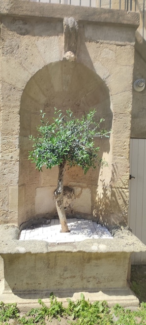 Ein Steingartenbeet mit einem Baum, ein Fliesenboden und eine Tür im Hintergrund.