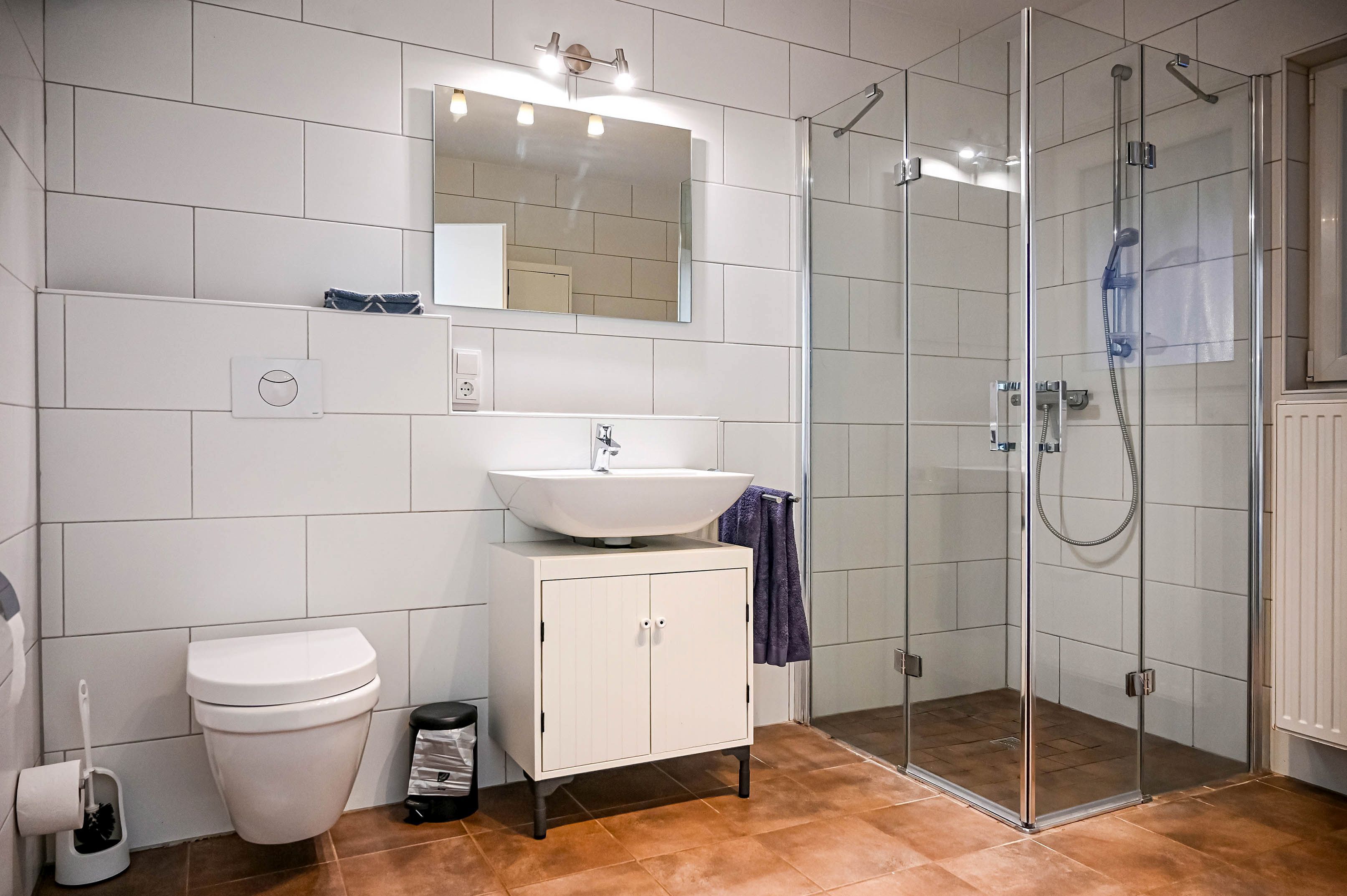 Shower, hair dryer