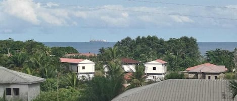 A coastal residential area with houses, a ship in the distance, and a clear sky.
