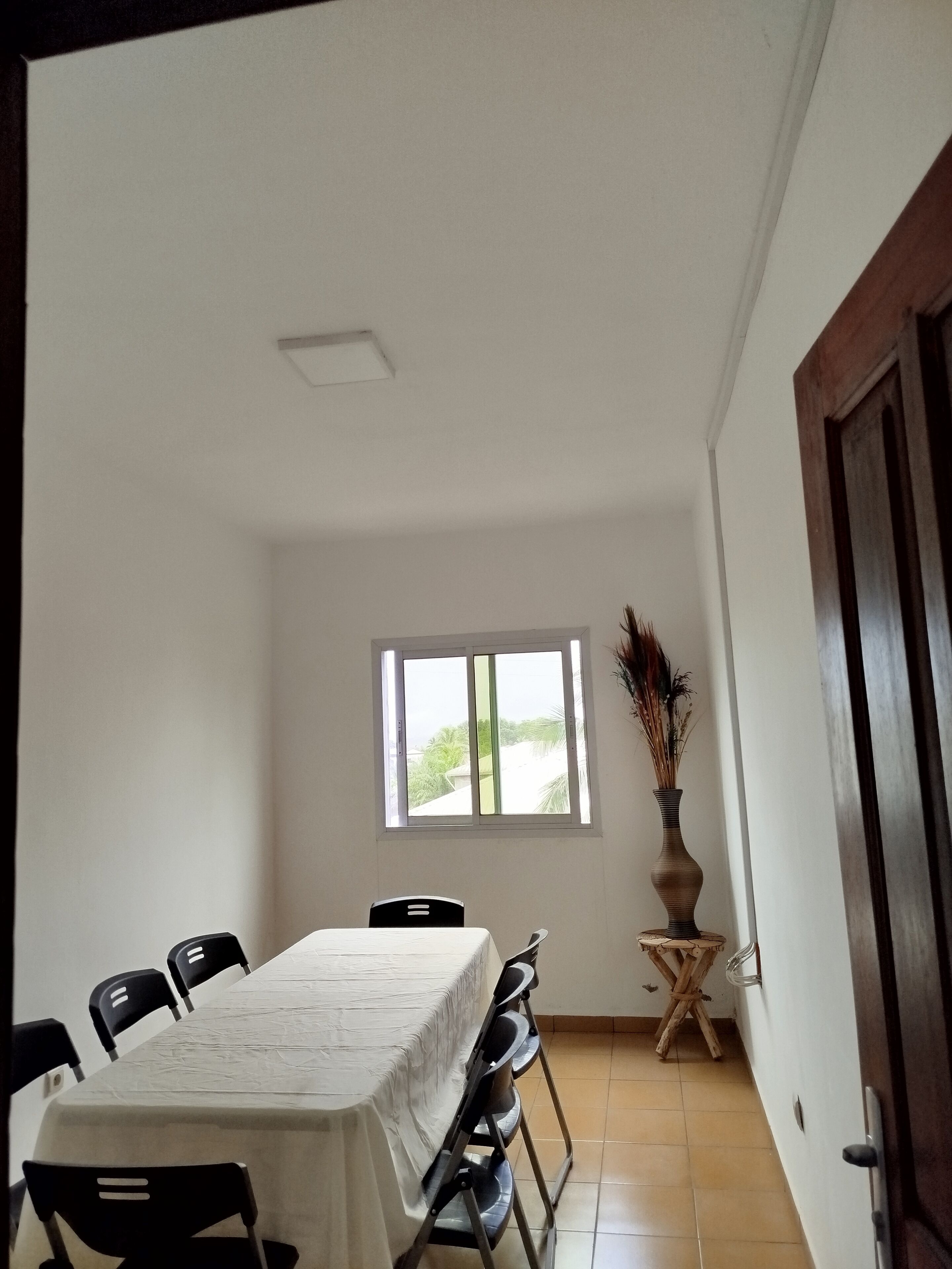 A dining area with a table, chairs, a window, and a potted plant.