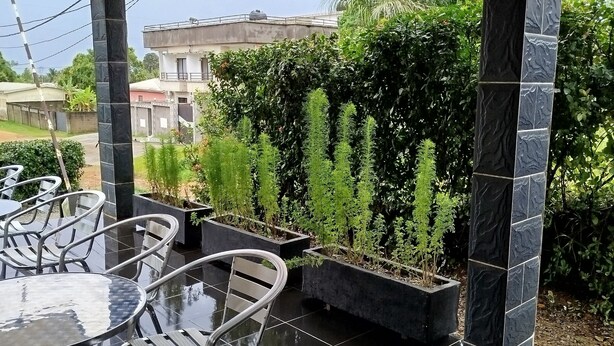 An outdoor patio with a table and chairs, surrounded by greenery and a tiled floor.