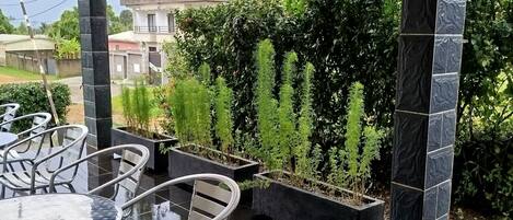 Terraza o patio