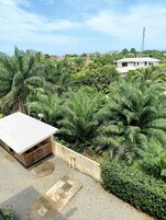 Zona residencial con una casa rodeada de densa vegetación tropical y una antena parabólica.