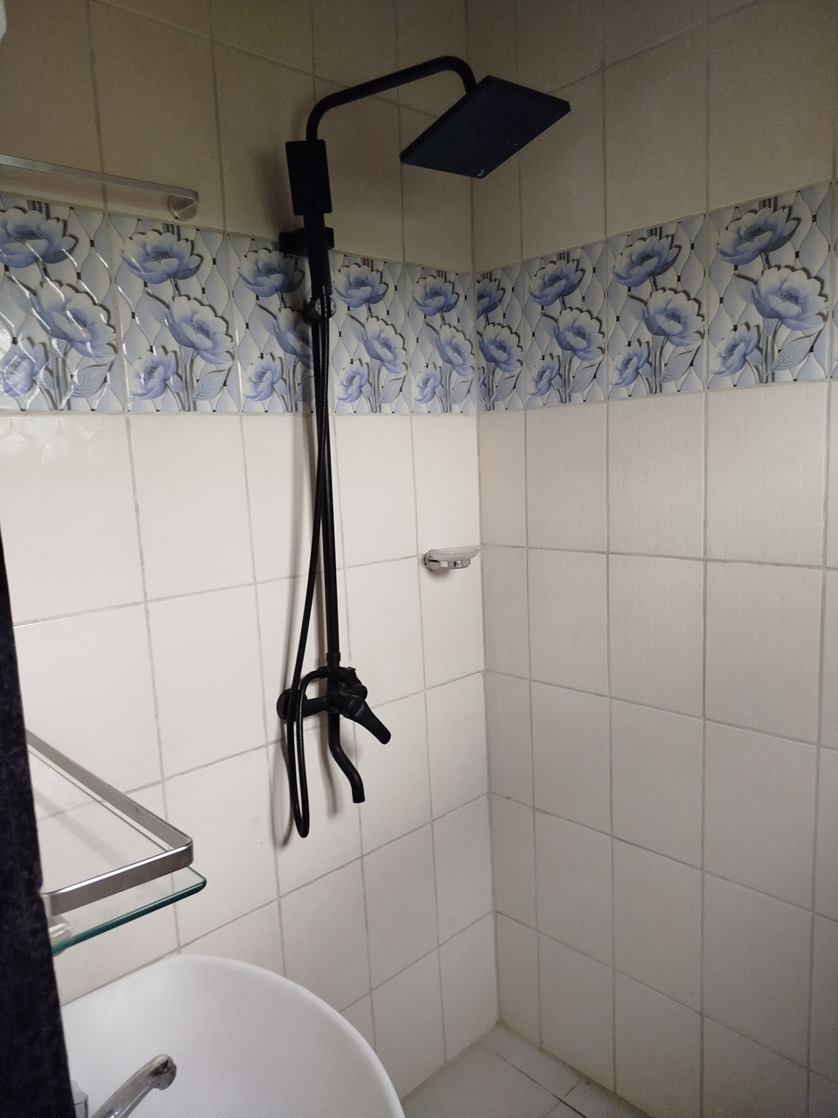 Een douche met een handdouche, een glazen plank en een witte wastafel.