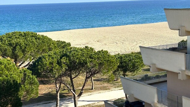 Vista sulla spiaggia, cielo sereno, spiaggia sabbiosa e qualche albero.