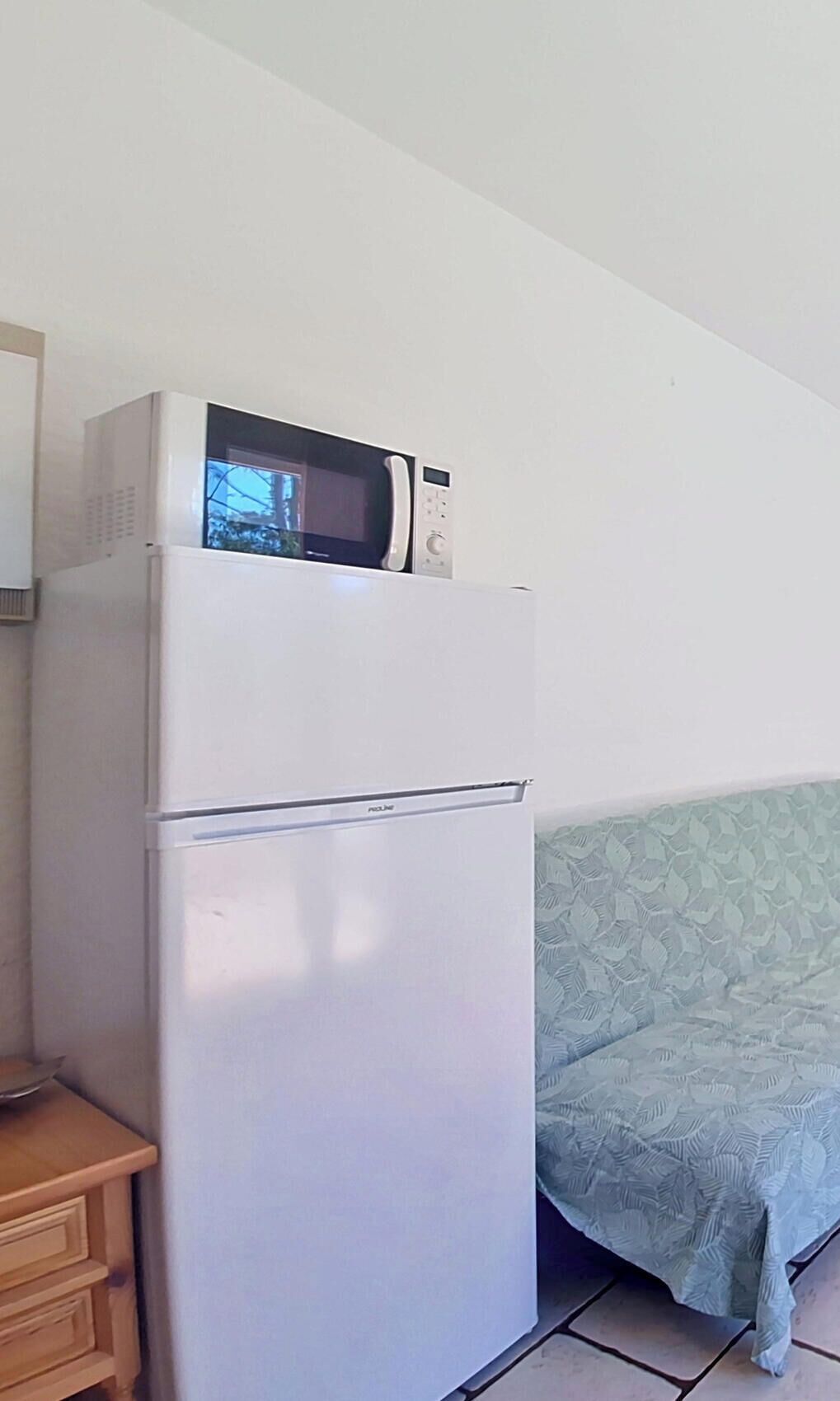 Une petite cuisine équipée comprenant un réfrigérateur, un four à micro-ondes et un petit meuble en bois.