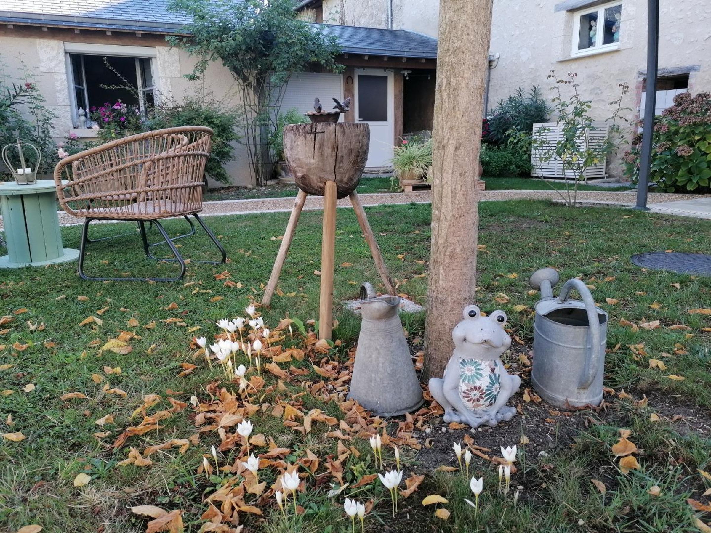 Ein Garten mit Korbsessel, Holzpflanzgefäß und dekorativen Froschskulpturen.