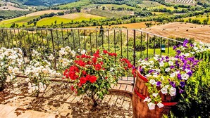 A balcony with a view of vineyards and rolling hills.