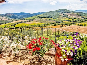 Ein Balkon mit Blick auf Weinberge und sanfte Hügel.