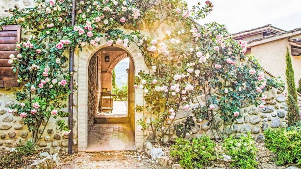 A stone building with an archway entrance, surrounded by lush greenery and flowering plants.