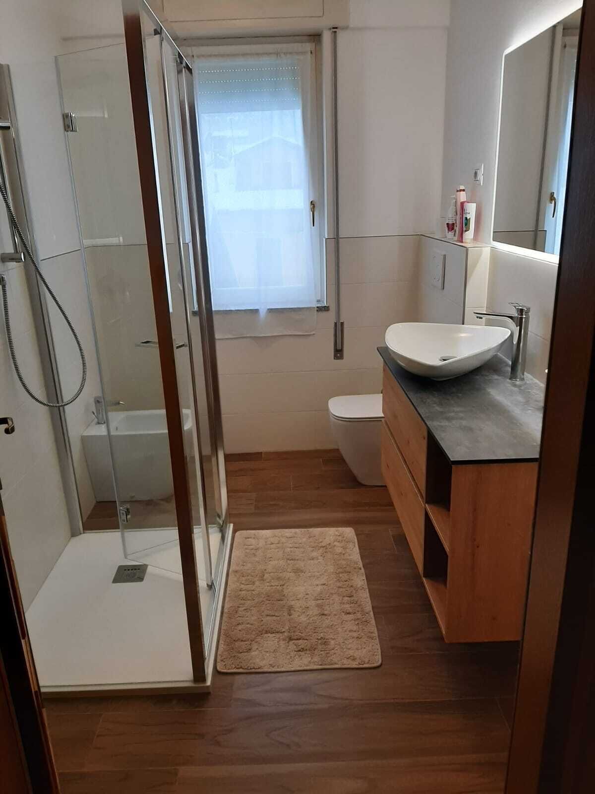 Shower, hair dryer, bidet, towels