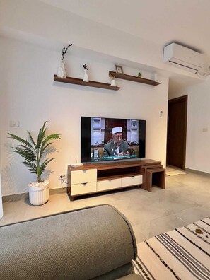 Una sala de estar con televisión, planta en maceta, sofá y mueble bajo de madera.