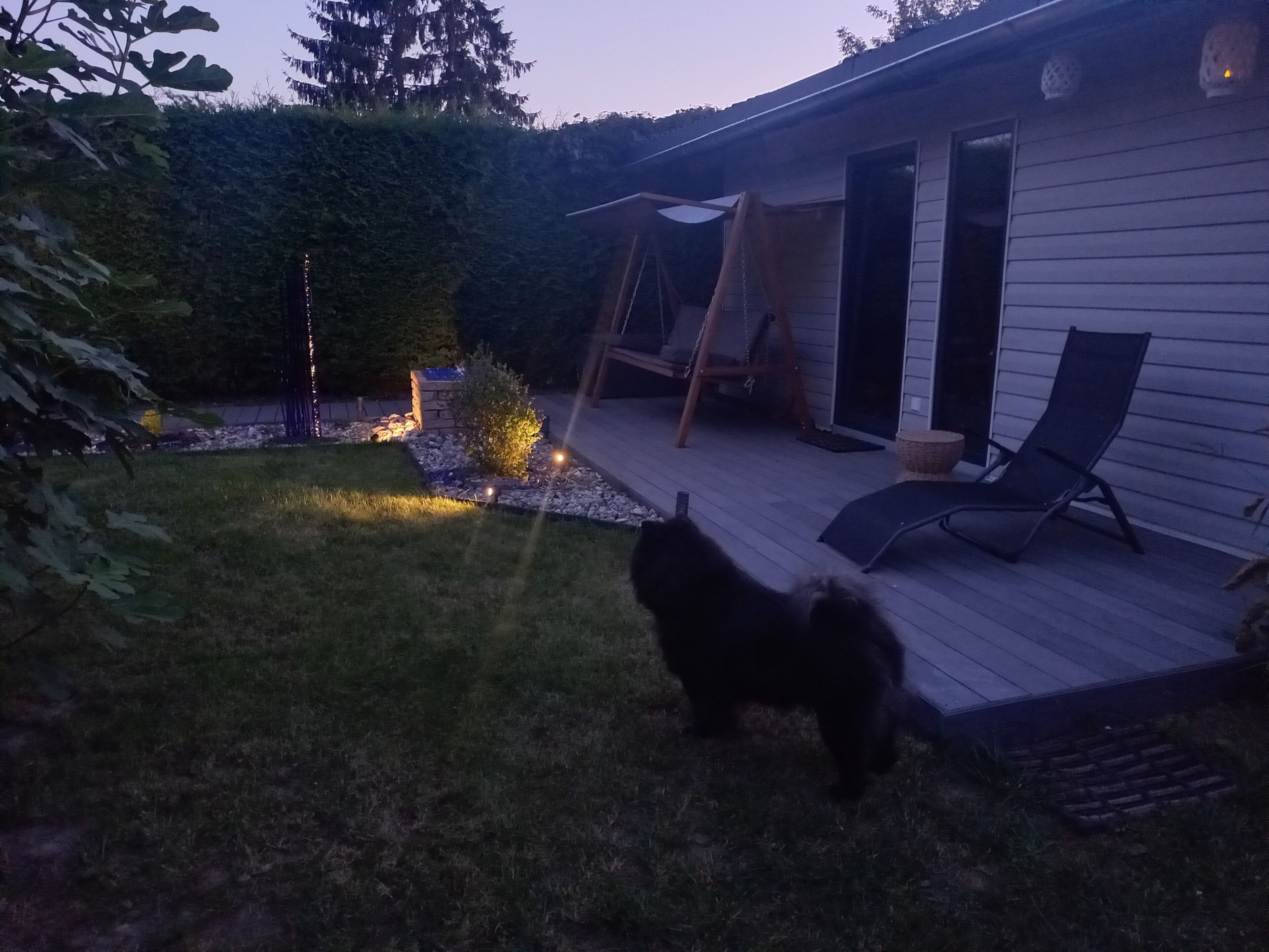 A backyard with a wooden deck, a swing set, and a dog.