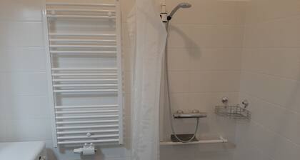 Fabulous 1-bedroom apartment in Krems - Gateway to the Wachau Valley
