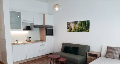 Fabulous 1-bedroom apartment in Krems - Gateway to the Wachau Valley