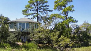 Exterior - Serene Marshview Treehouse near Crabbing Dock with Golf Cart (Fripp Island)