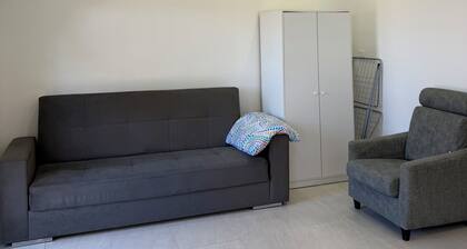 Two-room apartment cervia mirabilandia zoo safari
