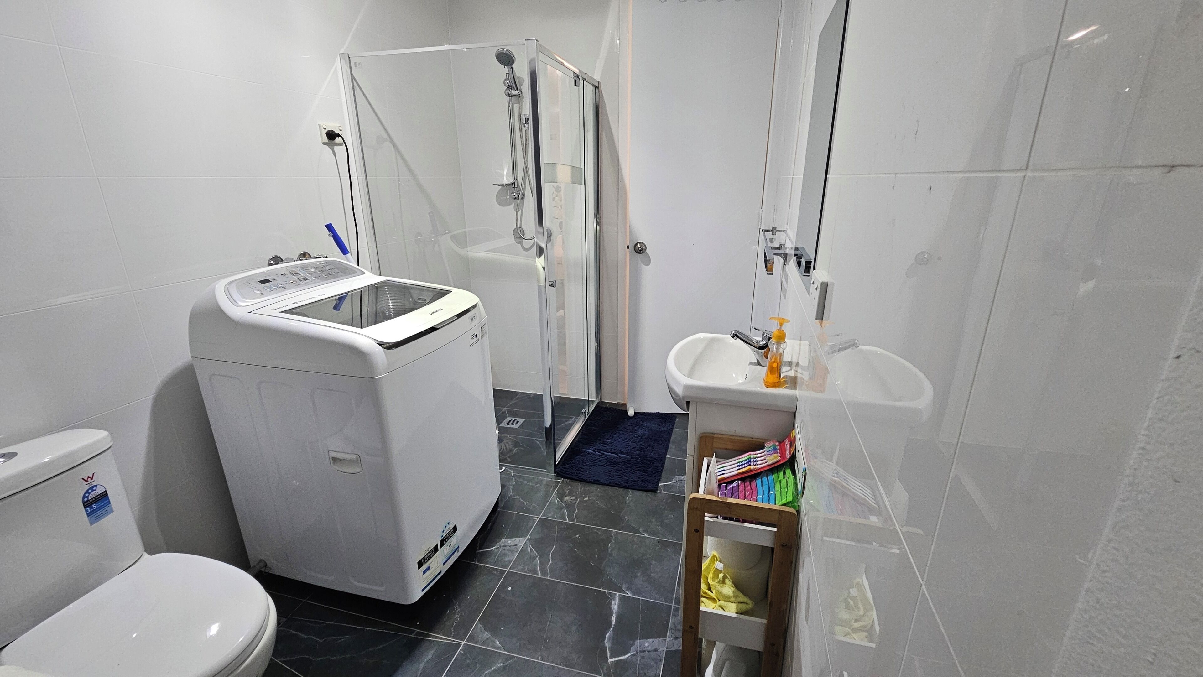 Shower, hair dryer, bidet, towels
