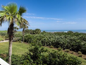 A lush garden with palm trees and dense shrubbery, a pathway, and a view of the ocean. - Oceanfront beauty in Cinnamon Beach - 523! (Palm Coast)