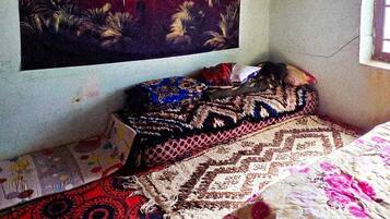 Classic House, Garden View