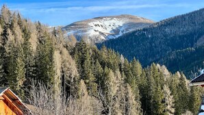 A mountainous landscape with a cabin and dense forest.
