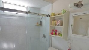Chuveiro, secador de cabelo, papel higiênico 