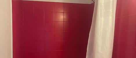 Regadera, toallas, jabón, papel de baño