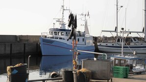 A harbor with boats docked, a crane, and storage bins. - 4 Star Holiday Home in Glesborg (Glesborg)