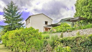 A house with a stone wall, a garden with various plants, and a large tree.