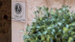 A sign with a logo and the text 'Suite 20' on a wall.