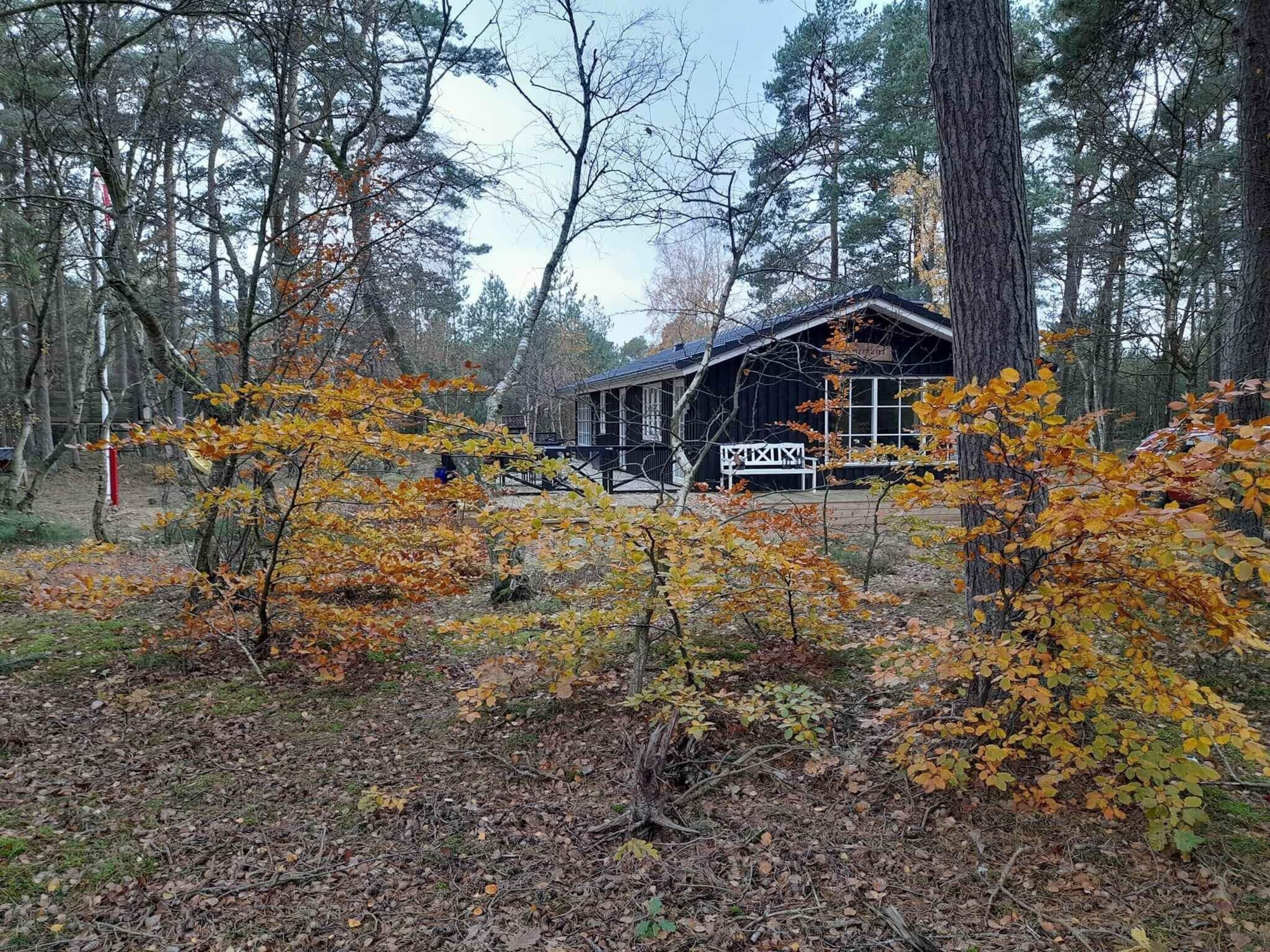 A rustic cabin with a wooden deck and a large window, surrounded by a forest with autumn foliage.