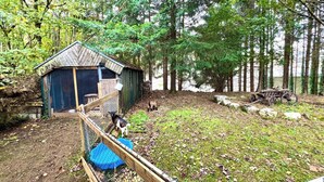 A rustic outdoor area with a wooden structure, possibly a shed, surrounded by trees.