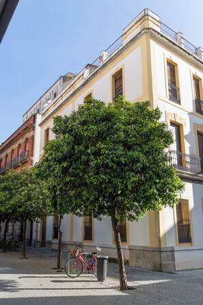 A building with a yellow facade, a tree in front, and a bicycle parked on the sidewalk. - Córdoba Center Monumental Home (Cordoba)