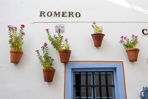 Um edifício com o nome 'ROMERO' e uma placa indicando 'Olivier en Auberge'. Há cinco vasos suspensos com plantas e flores.