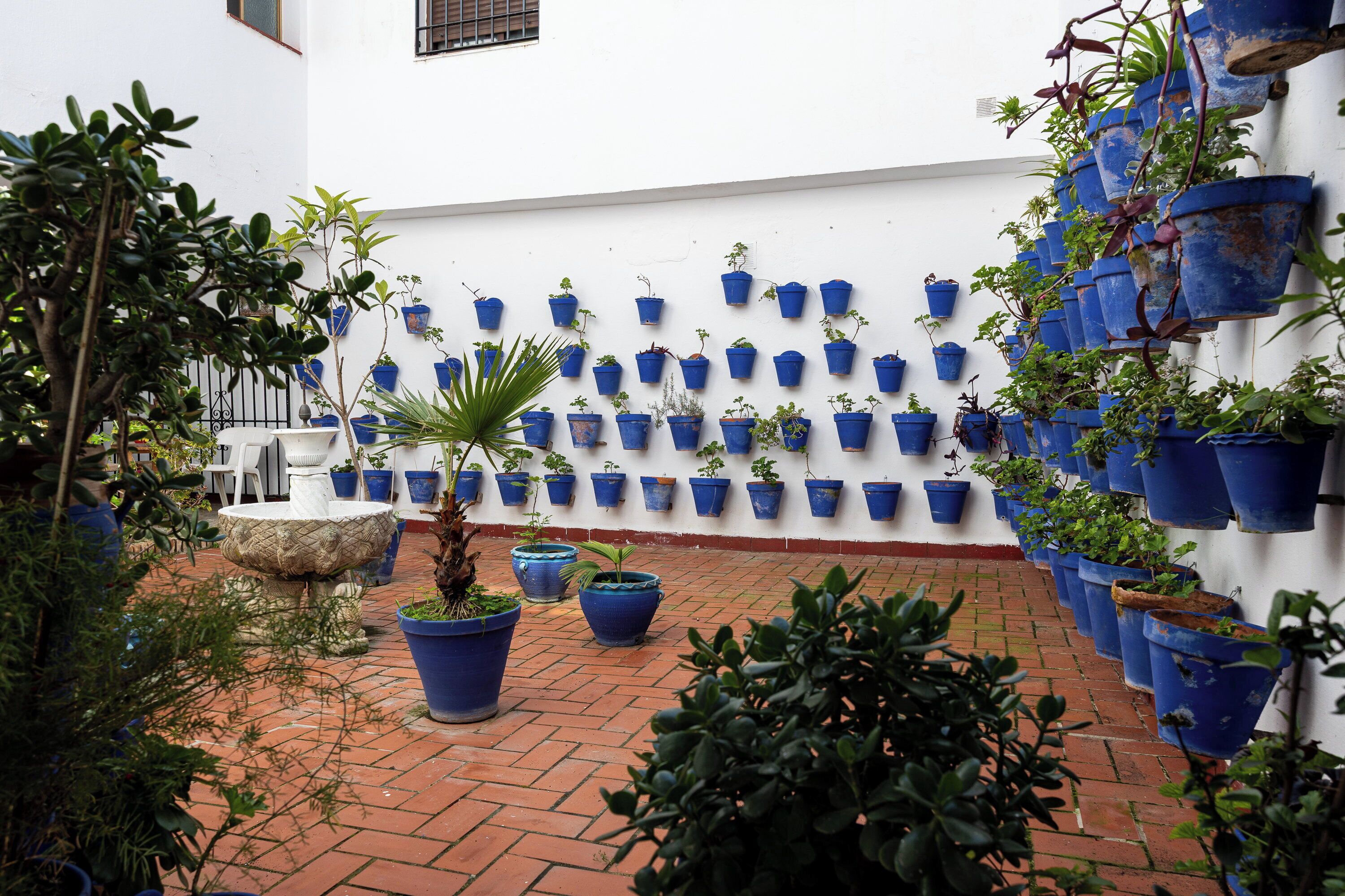 A courtyard with a white wall adorned with numerous blue planters arranged in a grid pattern.