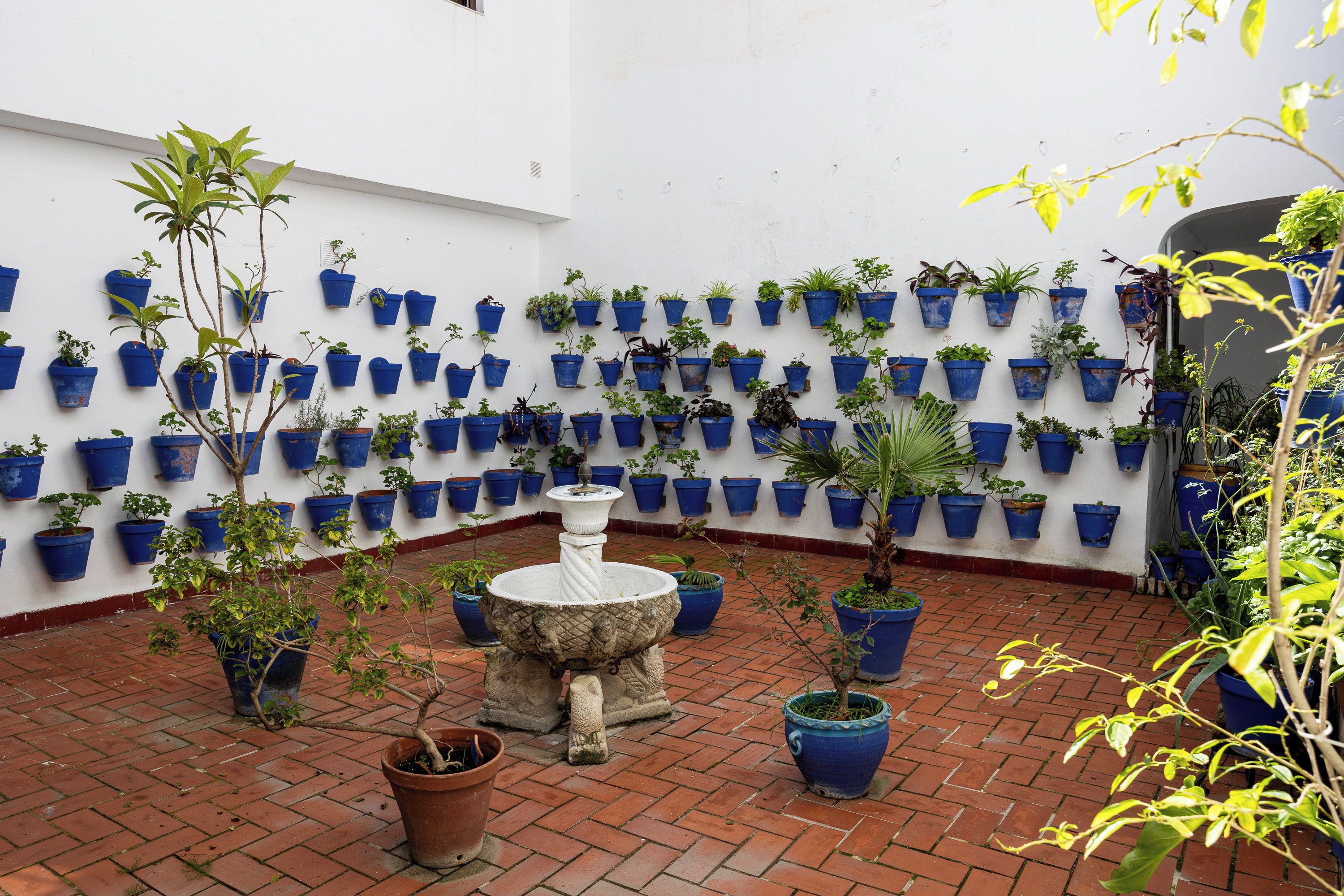 A courtyard with a white wall adorned with numerous blue planters containing various plants.