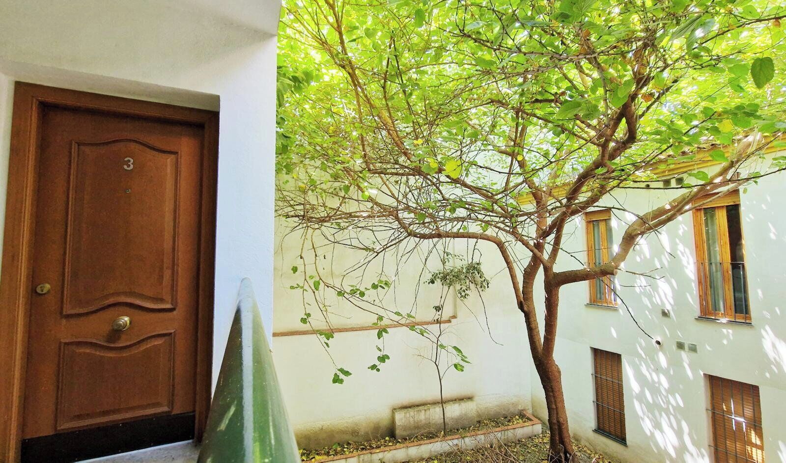 A wooden door with a number, a tree with green leaves, and a building with windows.