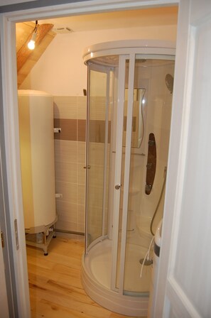 Shower, hair dryer, towels