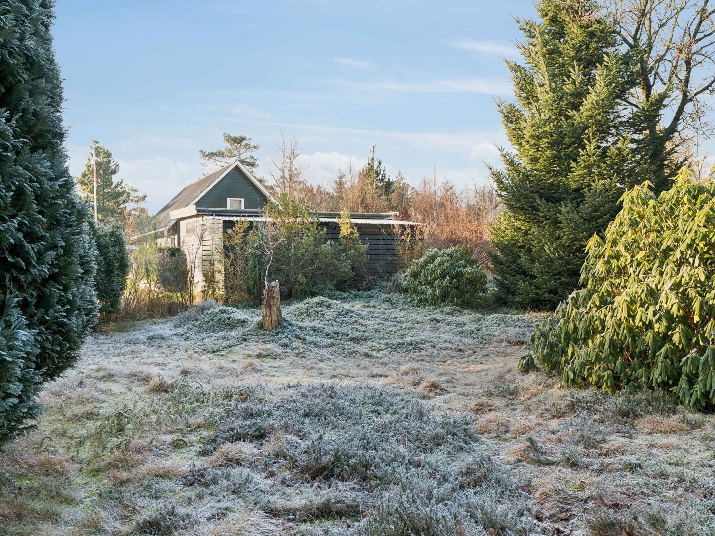Ferienhaus | Unterkunftsgelände