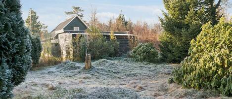 House | Property grounds