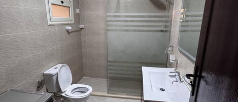 Shower, bidet, towels, soap