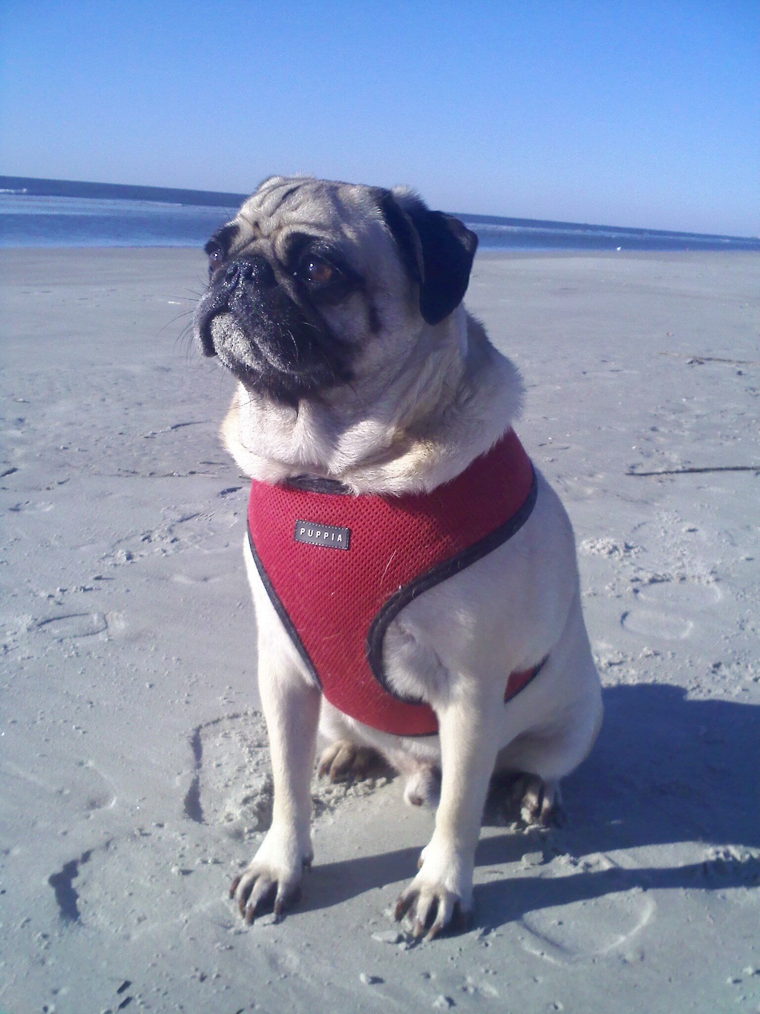 Playa