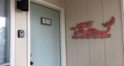 Best Value on Fripp! Dog Friendly! New Rental!