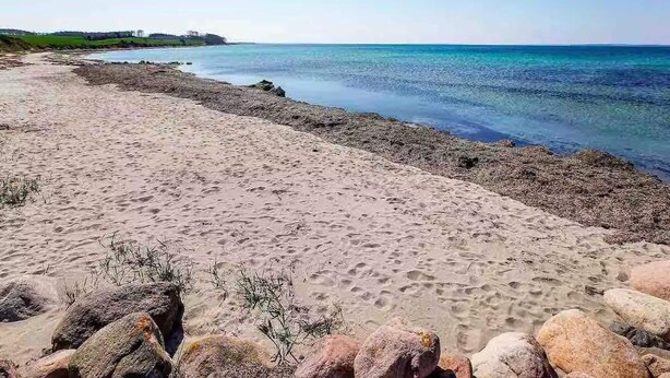 A beach with clear water, sandy shore, and rocks. - 4 Star Holiday Home in Tranekaer (Tranekaer)