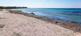 4 Star Holiday Home in Tranekaer