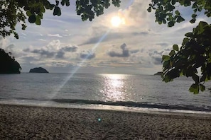 A beach with sunlight reflecting on the water, surrounded by foliage.