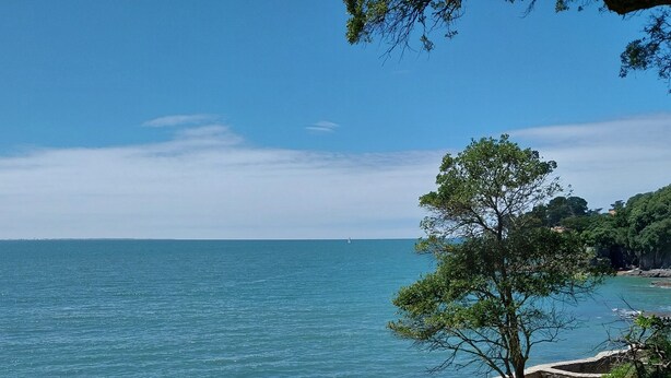Uma praia com um muro de pedra, uma árvore e vista clara do mar.