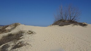 Miscellaneous - Sun, Sea, Sand Studio - an elegant boutique-style studio in Sunny Beach (Sunny Beach)