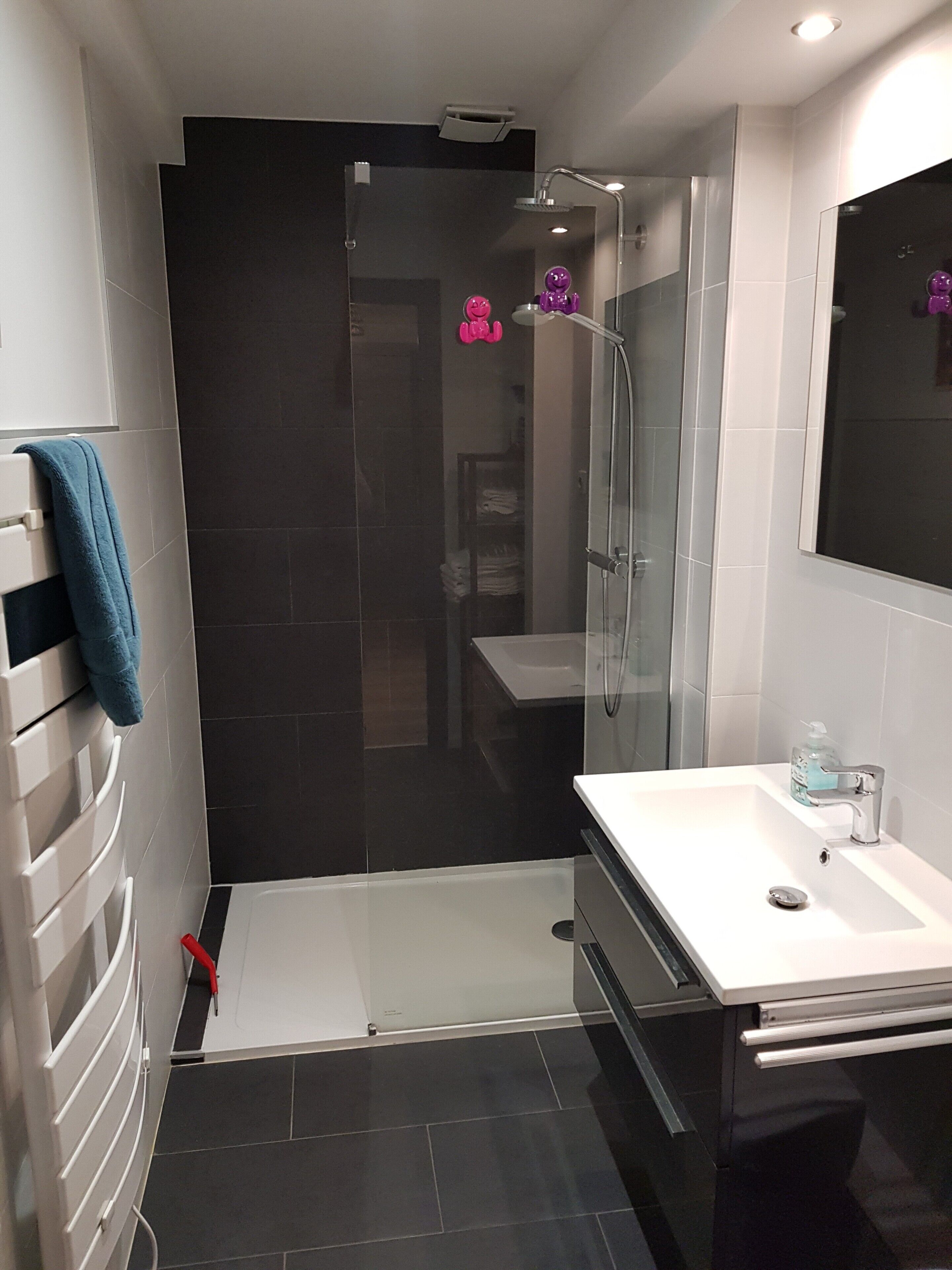 Shower, hair dryer, towels, toilet paper