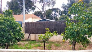 Áreas de la propiedad